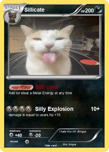 Pokemon Sillicate