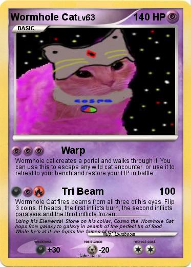 Pokemon Wormhole Cat
