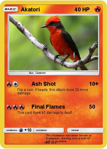 Pokemon Akatori