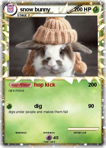 Pokemon snow bunny