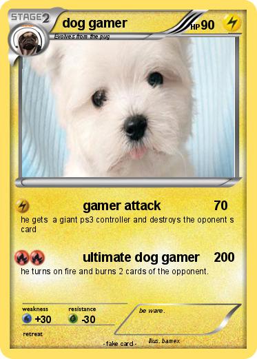 Pokemon dog gamer