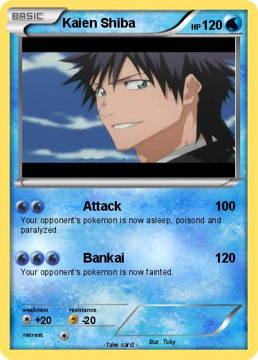Pokemon Kaien Shiba