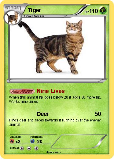 Pokemon Tiger