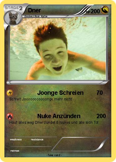Pokemon Dner