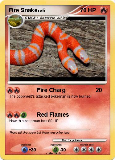 Pokemon Fire Snake