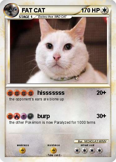 Pokemon FAT CAT