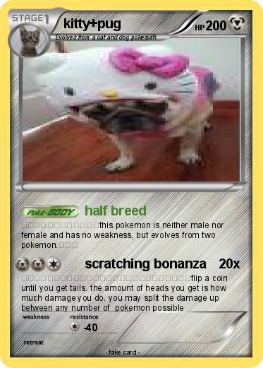 Pokemon kitty+pug