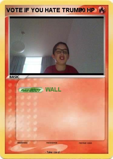 Pokemon VOTE IF YOU HATE TRUMP