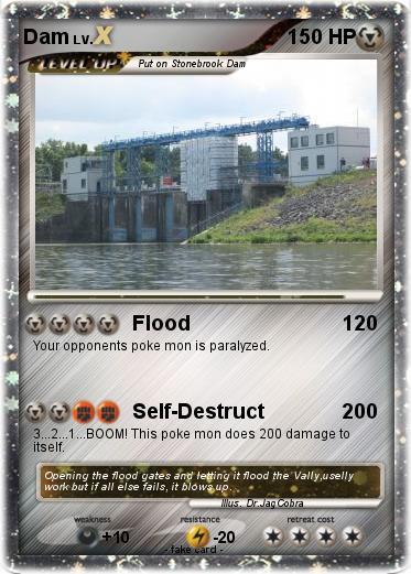 Pokemon Dam