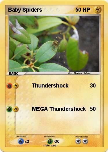 Pokemon Baby Spiders