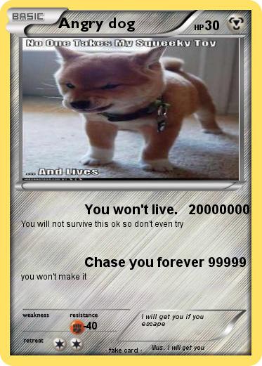 Pokemon Angry dog