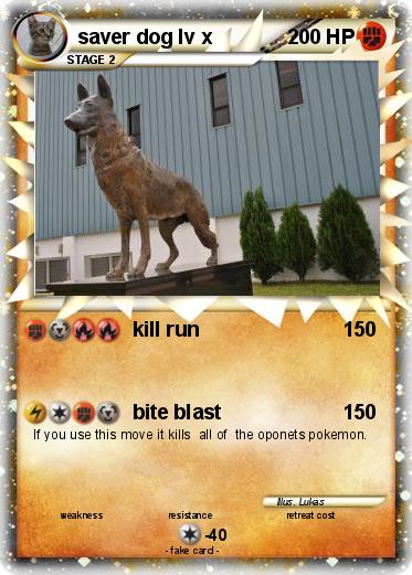 Pokemon saver dog lv x
