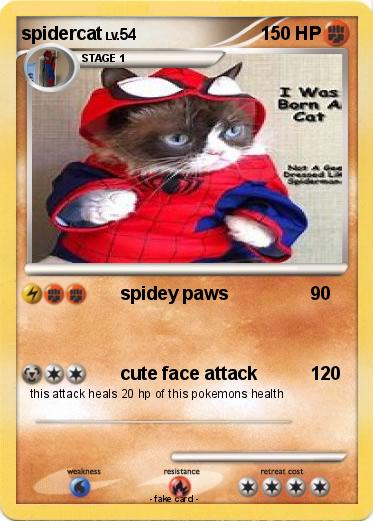 Pokemon spidercat