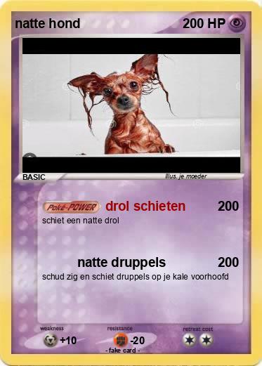 Pokemon natte hond