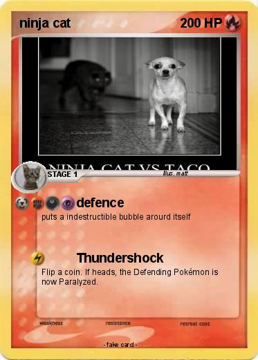 Pokemon ninja cat