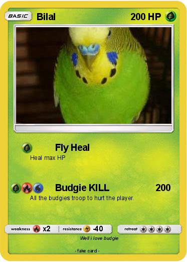 Pokemon Bilal