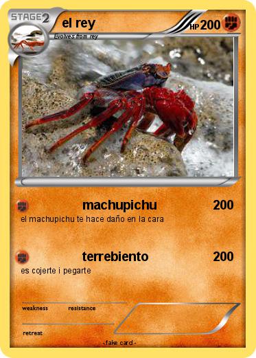 Pokemon el rey