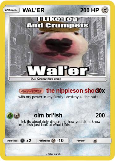 Pokemon WAL'ER