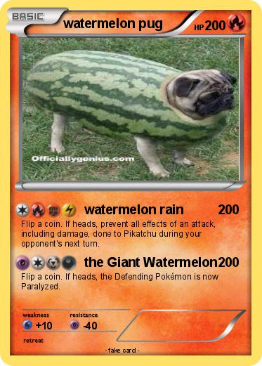 Pokemon watermelon pug