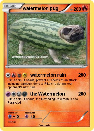 Pokemon watermelon pug