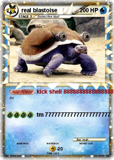 Pokemon real blastoise