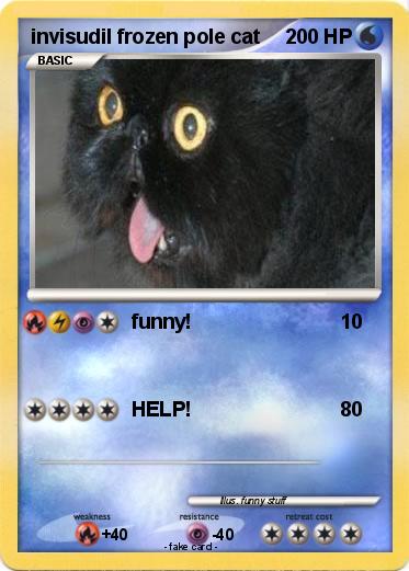 Pokemon invisudil frozen pole cat