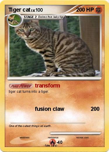 Pokemon Tiger cat