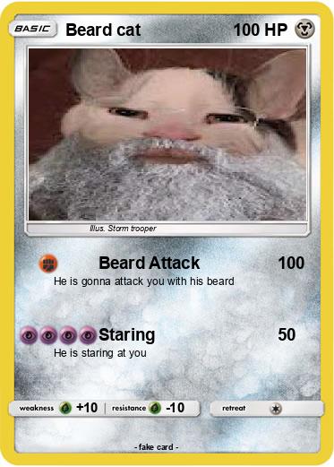 Pokemon Beard cat