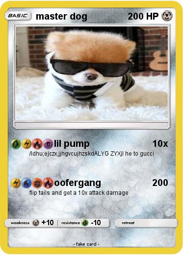 Pokemon master dog