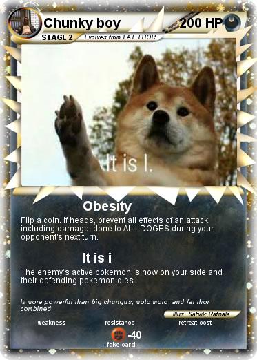 Pokemon Chunky boy