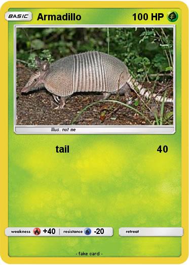 Pokemon Armadillo