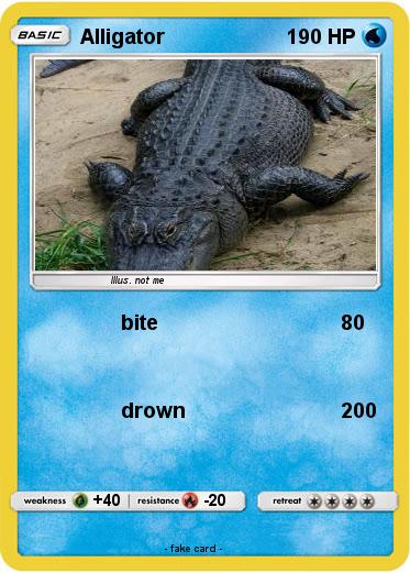Pokemon Alligator