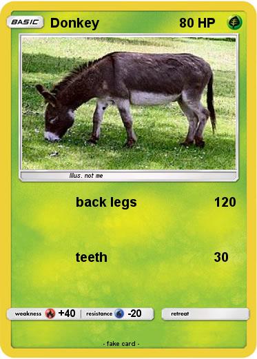 Pokemon Donkey