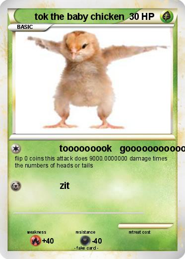 Pokemon tok the baby chicken