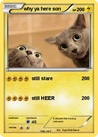 Pokemon why ya here son