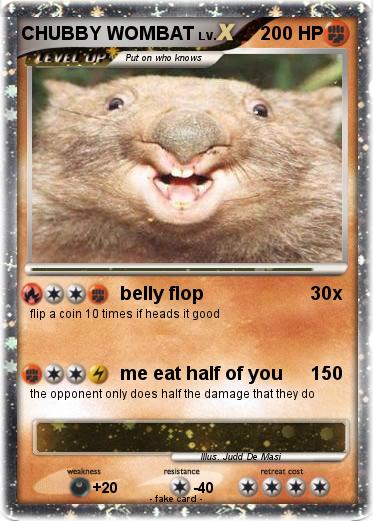Pokemon CHUBBY WOMBAT
