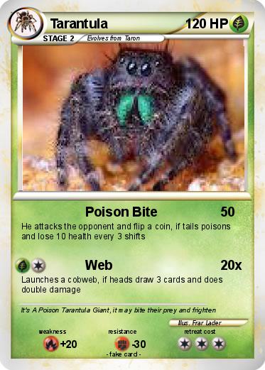 Pokemon Tarantula
