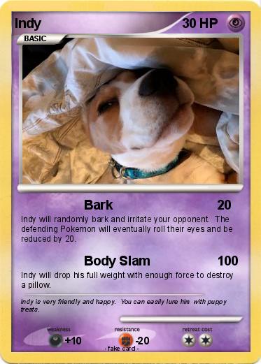 Pokemon Indy