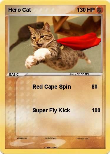 Pokemon Hero Cat