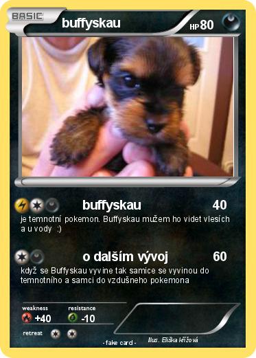 Pokemon buffyskau