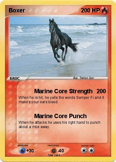 Pokemon Boxer