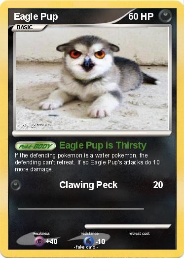 Pokemon Eagle Pup