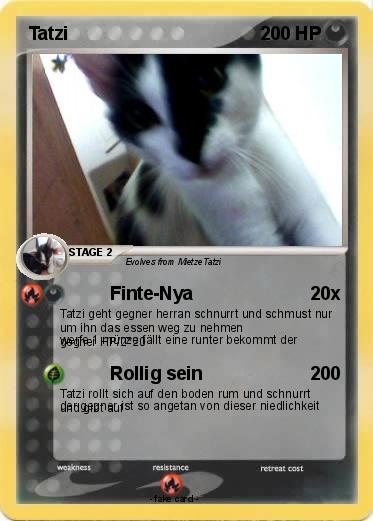Pokemon Tatzi