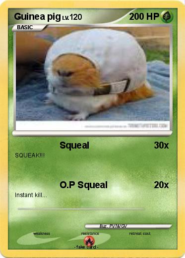 Pokemon Guinea pig