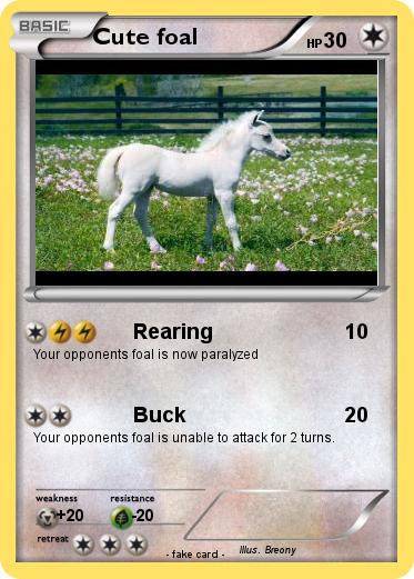 Pokemon Cute foal