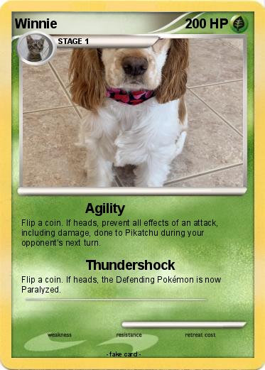 Pokemon Winnie