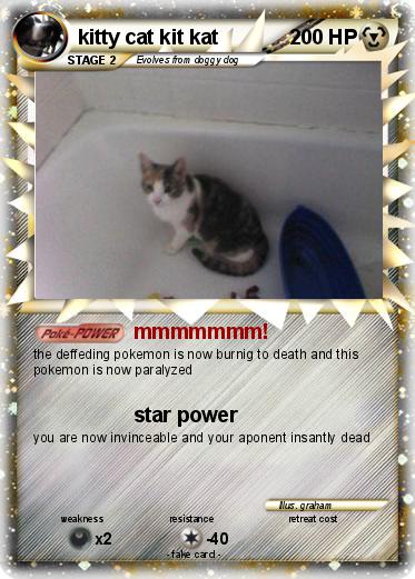Pokemon kitty cat kit kat