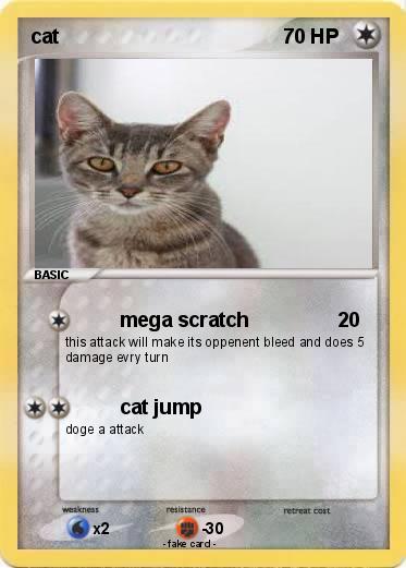 Pokemon cat