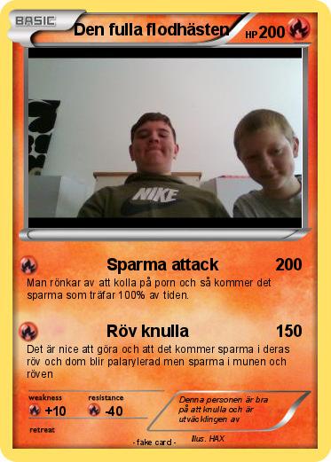 Pokemon Den fulla flodhästen