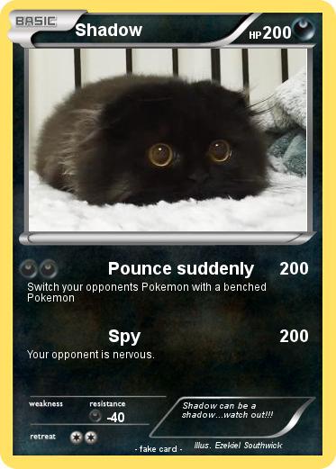 Pokemon Shadow